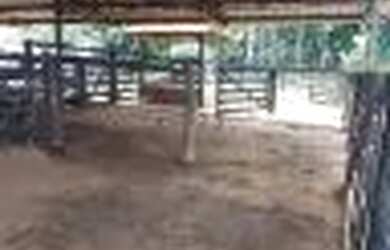 Imagem: A chácara está localizado em Parque Oeste Industrial, Goiânia