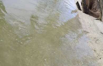 Imagem 9: Aluga-se temporada fins de semana feriados