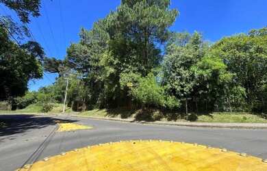 Imagem 5: Área com potencial construtivo a venda