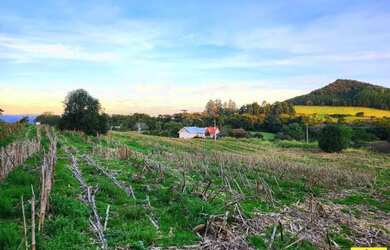 Imagem 2: Terreno para Venda em Nova Petrópolis, Pinhal Alto