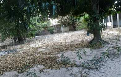 Imagem: A chácara possui 1300m² de Área e está localizado em Promorar