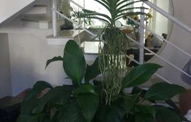 Imagem 9: Casa no condomínio Golden Park Residence