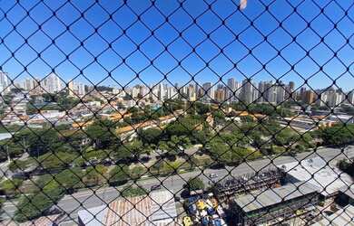Imagem 11: SAO PAULO - Apartamento Padrão - VILA FIRMIANO PINTO