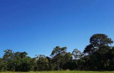 Imagem: Terreno à venda possui 1000 metros quadrados no Jardim América