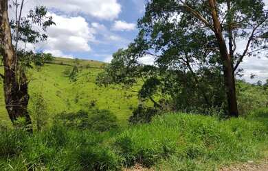 Imagem 5: Terreno 5x30 escritura e matrícula registrada em cartório