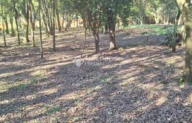 Imagem 6: Terreno em São Virgílio, Caxias do Sul