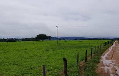 Imagem: A fazenda à venda e está localizado em Barro Alto, GO por