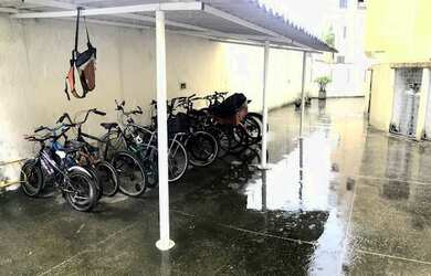 Imagem 15: Homer Captações -1966537