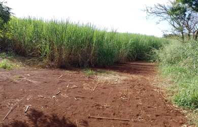 Imagem 5: Fazenda/Sítio/Chácara para venda tem 355014 metros quadrados em Centro...