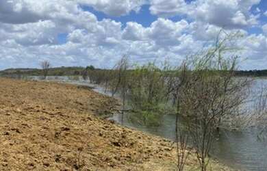 Imagem 3: Fazenda top com 98 hectares na região de São Paulo do Potengi