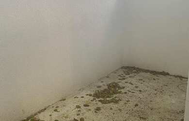 Imagem 1: Casa no Arenoso. 45m² de Área, 1 Banheiroe2 Dormitórios