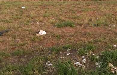 Imagem 3: Terreno Lago Sul 2 troca. 154m² de Área