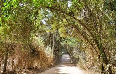 Imagem: O terreno possui 20.000m² de Área, Piscina e está localizado