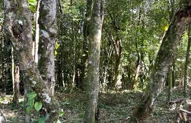 Imagem: A fazenda possui 1.100m² de Área e está localizado em Fazenda