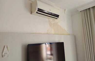 Imagem 2: Tulip inn 1q oportunidade liga 9 8 7 4 8 3 1 0 8 DIEGO9989F