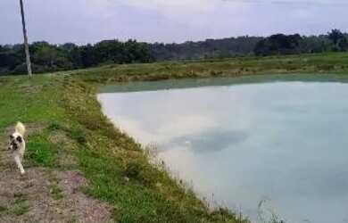 Imagem 12: Vende-se Propriedade Rural - AM-352, Km 42 - Novo Airão/AM