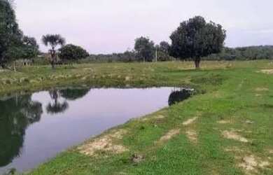 Imagem 11: Vende-se Propriedade Rural - AM-352, Km 42 - Novo Airão/AM