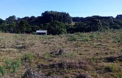 Imagem 5: Chácara em mato queimado 2 km da estrada do Cazuza ferreira