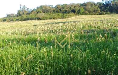 Imagem: O terreno possui 35.219m² de Área e está localizado em São