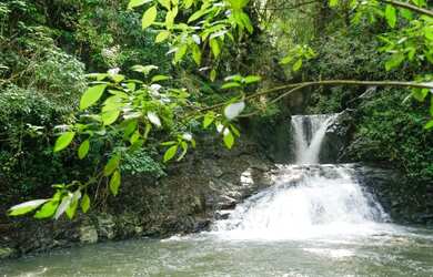 Imagem 12: Sitio - Bairro Linha 28. 160m² de Área