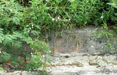 Imagem: O terreno possui 475m² de Área e está localizado em Centro