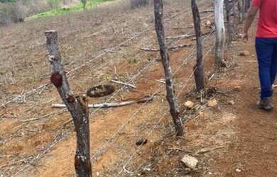 Imagem 1: Fazenda top com 98 hectares na região de São Paulo do Potengi