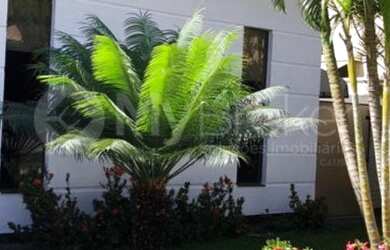 Imagem: A casa em condomínio possui 4 Dormitórios, 3 Banheiros, 2