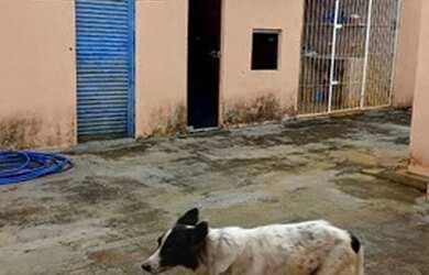 Imagem 9: Vende exelente Casa no Cohab - Porto Velho - RO