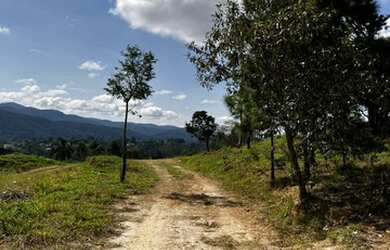 Imagem: O terreno possui 1.000m² de Área e está localizado em Centro
