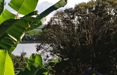 Imagem 6: Torro terreno em Antonina