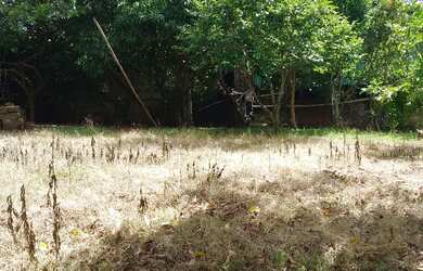 Imagem 1: Vendo um terreno em rolante RS