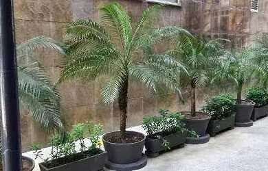 Imagem 4: Sala, 401 m² - venda por R$ 1.580.000,00 ou aluguel por R$ 26.100,00/mês - Comércio - Salv