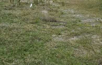 Imagem: O terreno possui 420m² de Área e está localizado em Serraria