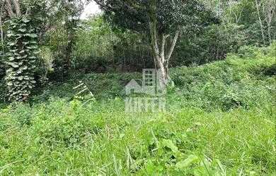 Imagem 14: Terreno à venda, 2091 m² por R$ 240.000,00 - Pendotiba - Niterói/RJ