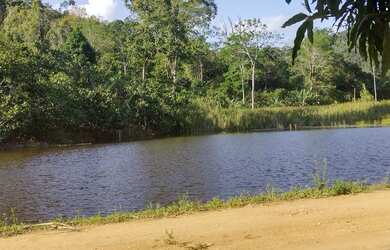 Imagem 8: Vendo Excelente Fazenda Em Gandu