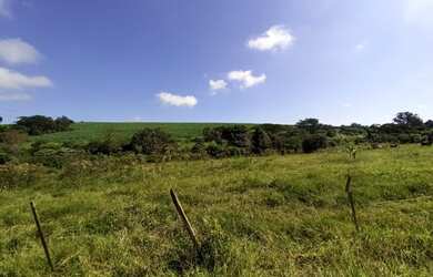 Imagem 3: Fazenda/Sítio/Chácara para venda tem 355014 metros quadrados em Centro...