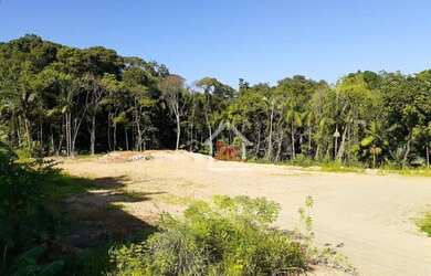 Imagem 1: Terreno à venda, 8548 m² por R$ 2.300.000,00 - Salto do Norte - Blumenau/SC