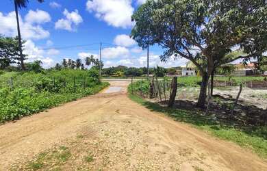 Imagem 3: Lotes Na Praia Do Presidio Ao Lado Do Resort Riviera Tamanohos 6X30 E...