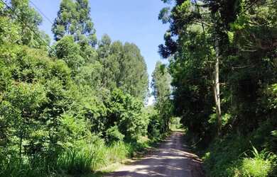 Imagem 2: Sítio / Chácara para Venda em Nova Petrópolis, Linha Brasil Fundos