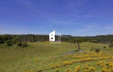Imagem 3: Área rural com 67 ha, casas, açude e pinus