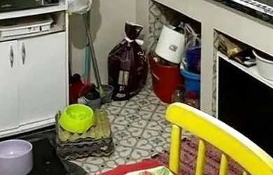 Imagem 10: Apartamento Térreo 2 quartos com vaga à venda na Rua Barbedo, Menino Deus