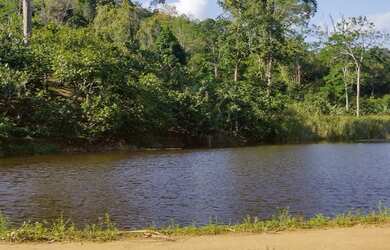 Imagem 5: Vendo Excelente Fazenda Em Gandu