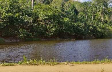 Imagem 15: Vendo Excelente Fazenda Em Gandu