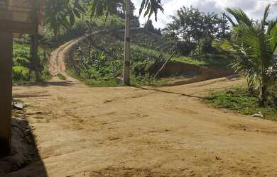 Imagem 3: Vendo Excelente Fazenda Em Gandu