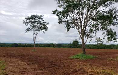 Imagem: A fazenda e está localizado em Cibele, Itapuranga à venda