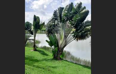 Imagem 3: Lote/Terreno para venda tem 510 metros quadrados em itaporanga - São...