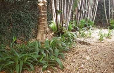 Imagem 5: SÃO JOSÉ DO RIO PRETO - Casa Padrão - JARDIM PANORAMA