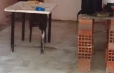 Imagem 5: Casa pra alugar. 70m² de Área, 1 Banheiroe1 Dormitório