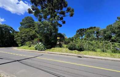 Imagem: O terreno possui 6.042m² de Área e está localizado em Palace