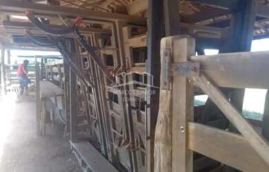 Imagem 13: FAZENDA EM BURITIZEIRO MG NA BEIRA DO RIO SÃO FRANCISCO FORMADA E COM...